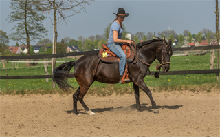 Simone auf Silver Roll Back rechts rum